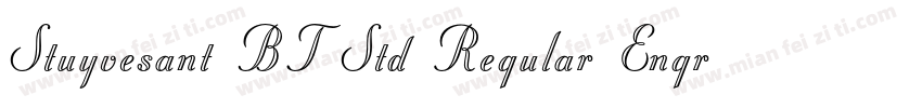 Stuyvesant BT Std Regular Engraved字体转换